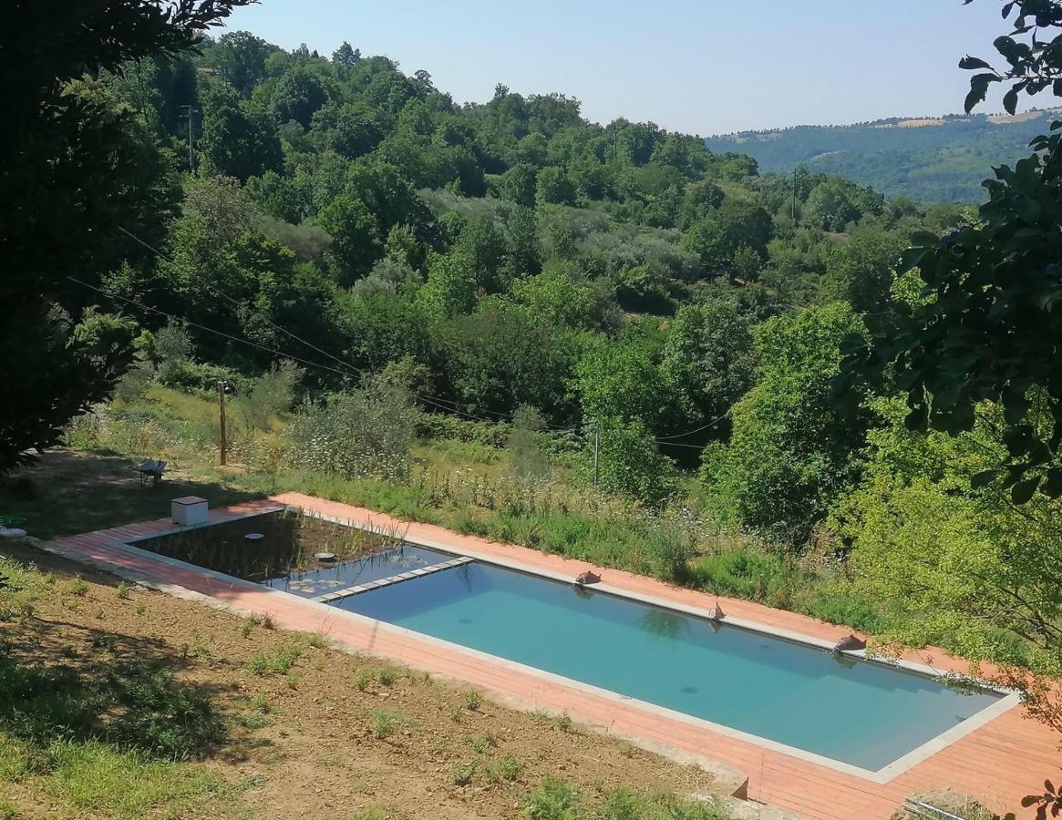 Podere Di Maggio - Casa Della Nonna Santa Fiora Exterior foto